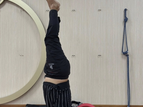 Ngày Quốc tế Yoga 21/6 là dịp toàn thế giới tôn vinh và thúc đẩy lợi ích của môn yoga!